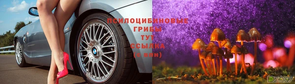 СК Нея
