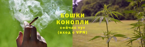 каннабис Осташков